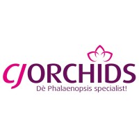 CJ Orchids logo - Similar company to Samada Plants
