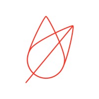 Vida Estética - Emagrecimento e Bem Estar logo - Similar company to Pires Tecnologia E Serviços