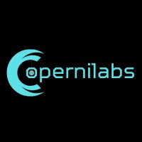 Copernilabs logo - Similar company to Risk Hunter