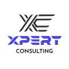 XPERT CONSULTING logo - Similar company to Sitpros & Technologies