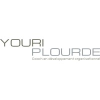 Youri Plourde logo - Similar company to Litt Digital Academy