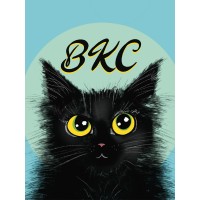 Black Kitty Cards