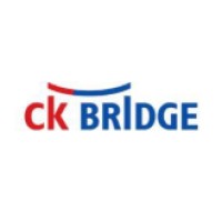 CK Bridge Inc. logo - Similar company to Present