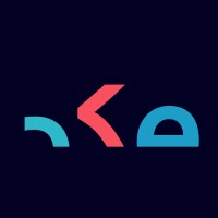 peakleap logo - Similar company to Acta Solutions
