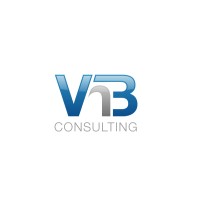 VNB Consulting Services logo - Similar company to Vnb-It