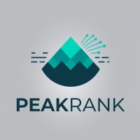 peakrank digital logo - Similar company to Digital Usman