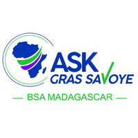 BSA MADAGASCAR logo - Similar company to Lcs Rh