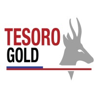 Tesoro Gold logo - Similar company to Atex Resources (Tsxv: Atx)