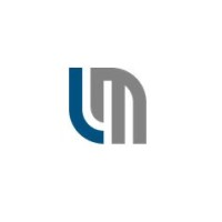 LM Consulting logo - Similar company to Vero Pulse Gmbh