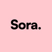 Sora. logo - Similar company to Impic
