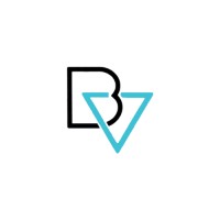 Borisveins Private Limited logo - Similar company to Borisveins Private Limited