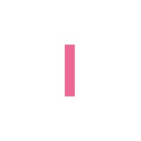 Project Copilot logo - Similar company to Magicloop.Co