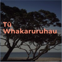 Tū Whakaruruhau logo - Similar company to Synergia Ltd