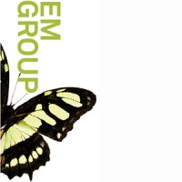 EM Group logo - Similar company to Em Software