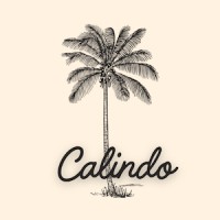 Calindo logo - Similar company to Differently Enabled