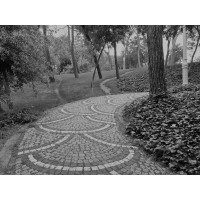 Desire Line logo - Similar company to Desire Line Llc