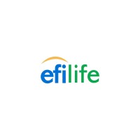 Excellent Fortune Life Insurance logo - Similar company to Chartwell Insurance & Management Services
