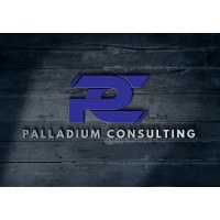 Palladium Consulting logo - Similar company to Consync Infra