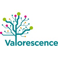 Valorescence logo - Similar company to Ecubel Computer Trading