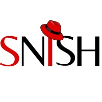 Snish logo - Similar company to Cactus Company