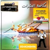 شركة مكافحة حشرات بالدمام 0544348496 رش حشرات logo - Similar company to Speedwaves
