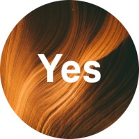 A Collective Yes logo - Similar company to East Forest
