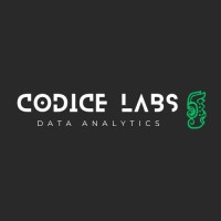 Codice Labs logo - Similar company to Digital Age Gt