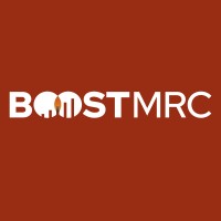 Boost Market Research Consultancy logo - Similar company to Mpram Consulting, Inc.