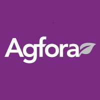 Agfora logo - Similar company to Lucid Meme