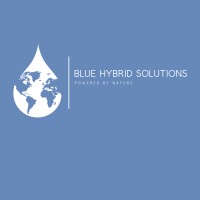 Blue Hybrid Solutions logo - Similar company to Purple Executive Search