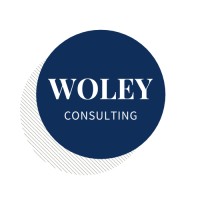 Woley Consulting LLC logo - Similar company to Demandbright