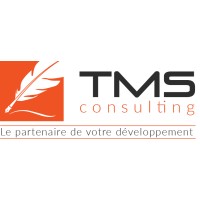 TMS Consulting logo - Similar company to Bsl Security
