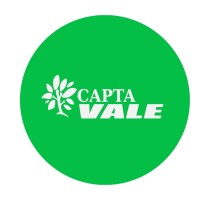 Capta Vale logo - Similar company to Trasierra Sofom