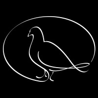 Piedra Paloma logo - Similar company to Ecm Studio
