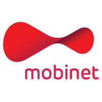 mobinet llc logo - Similar company to Mobinets