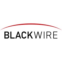 Blackwire Consulting Group logo - Similar company to Vars Tech