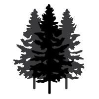 Into the Woods logo - Similar company to Ep-Direct