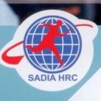 Sadia HR Consultancy logo - Similar company to Superstring Solutions Ag