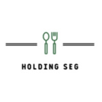Holding SEG logo - Similar company to Seg Holding