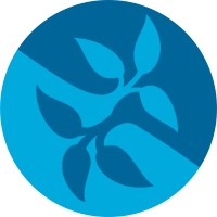 UFBA Student Branch logo - Similar company to Neo Contabilidade E Consultoria