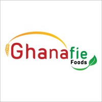 Ghanafiefoods logo - Similar company to New Bodega