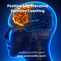 Positive Life  Executive Function Coaching logo - Similar company to 6S Capital Llc