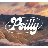 Psilly (Acquired) logo - Similar company to Orthogonal Thinker