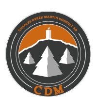 CDM Konsult AB logo - Similar company to Ninetone Group Ab