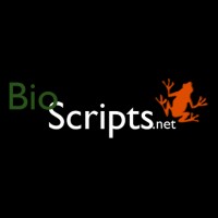 BioScripts logo - Similar company to Iguannaweb