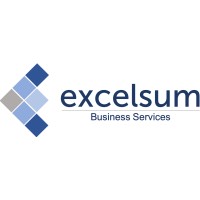 Excelsum Business Services logo - Similar company to Agilorg
