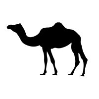 CamelCollect.io logo - Similar company to Marketing Bound