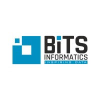 Bits Informatics logo - Similar company to The Apes Project