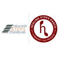 Healing Steps, Greater Chicagoland Area logo - Similar company to The Liv Project