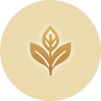 Daun Salam Teknologi logo - Similar company to Pmii Rayon Ekonomi